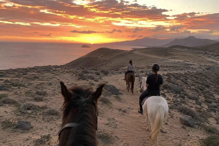 Porto Santo: Hevosratsastus auringonlaskussa valaidenkatselupaikalle