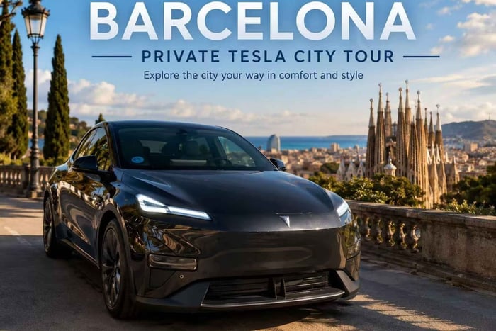 Private City Tour with Vehicle