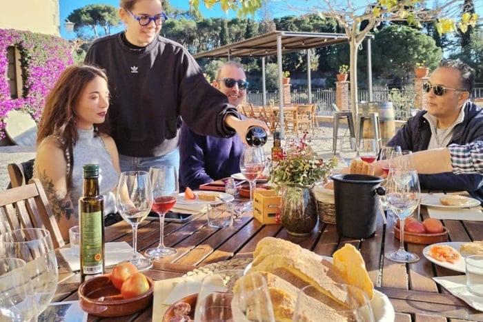 Sailing and Winery Tour with Wine Tasting