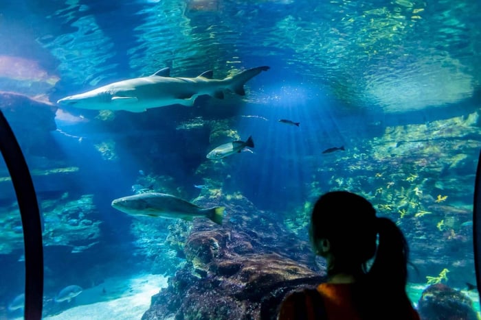 Aquarium van toegangsbewijs