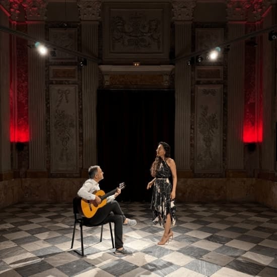 Saturday Classics: concert and visit to the MEAM Museum