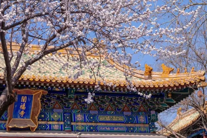 Beijing Beihai Park Tickets: Fast Track, Skip the Queue