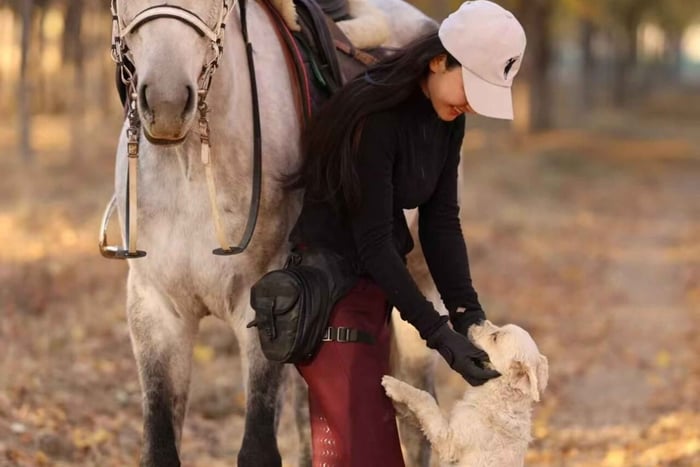 Beijing Overnight Layover: Countryside Horse Riding Tour