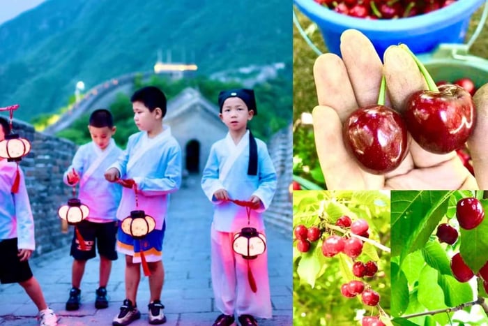 Wielki Mur Chiński w Mutianyu i wizyta w pekińskim sadzie