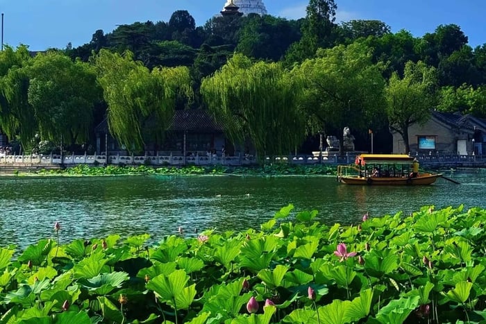 Pekín: ticket oficial al parque Beihai y entrada al Jardín Real