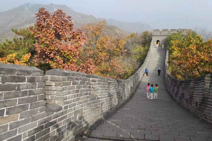Private Trip to Great Wall+Panda House with English Driver