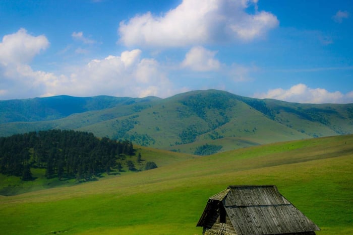 Belgradista: Zlatibor-vuoren kokopäiväretki: Koko päivän opastettu retki Zlatibor-vuorelle