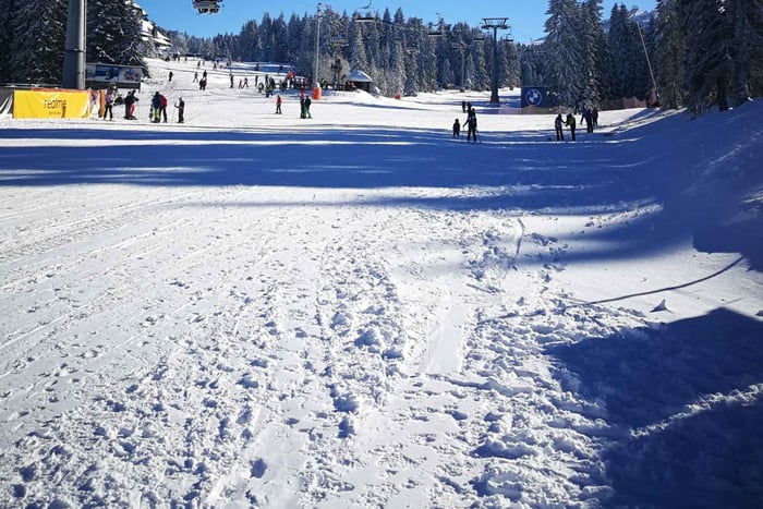 De Belgrado: Parque nacional Kopaonik e estação de esqui - dia inteiro