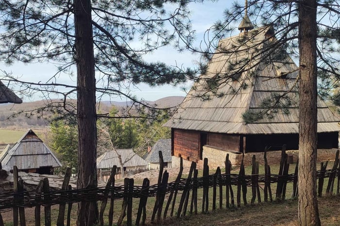 Da Belgrado: Tour privato delle montagne di Zlatibor