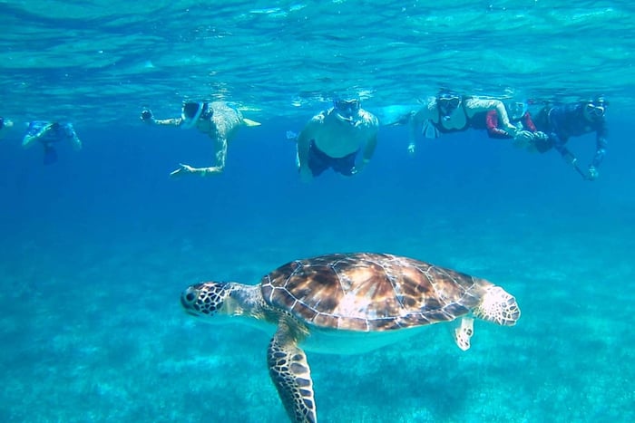 Caye Caulker: mergulho com snorkel em Hol-Chan e visita à ilha de San Pedro