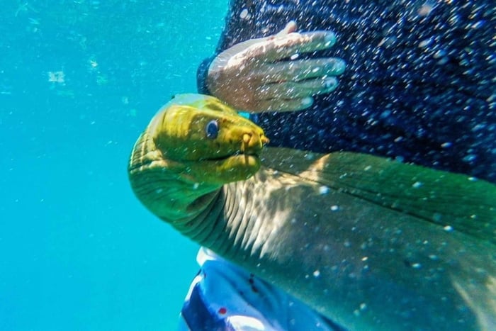 Caye Caulker: Local Reef Half-Day 3-Stop Snorkeling Tour