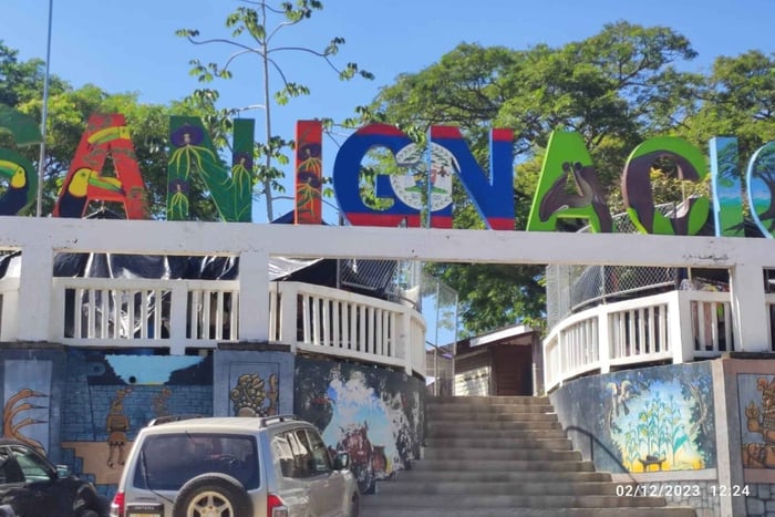De Tikal: Do teu hotel em Tikal para San Ignacio ou Belize City