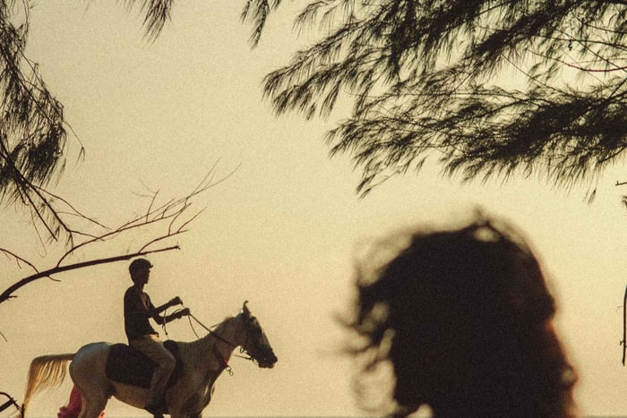 Placencia Beach: Guided Coastal Horseback Adventure