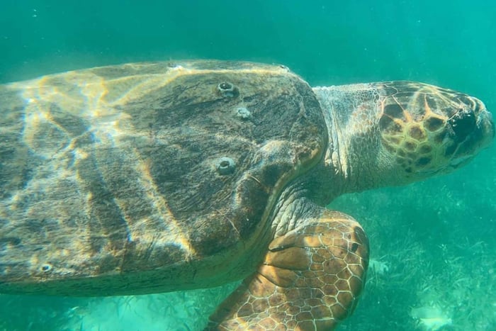 Placencia: tour di snorkeling tra le isole