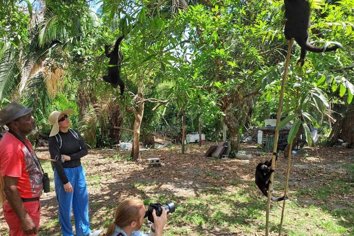 Rumble in the Jungle: expedición a los monos aulladores de Belice