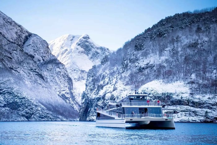 Bergen Day Winter Tour: Nærøyfjord Cruise, Flåm & Stegastein