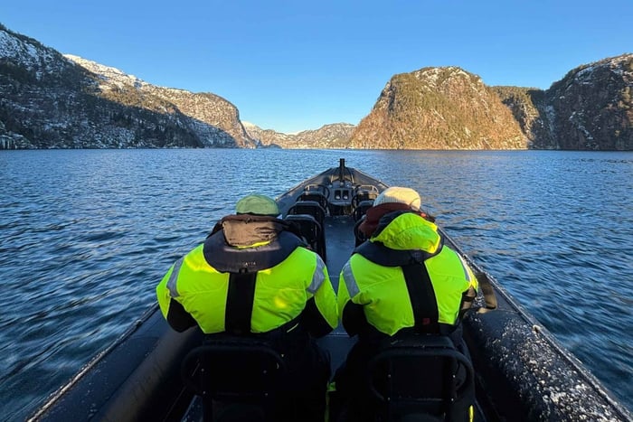 Bergen: Mostraumen fjordsafari med førsteklasses RIB-båd