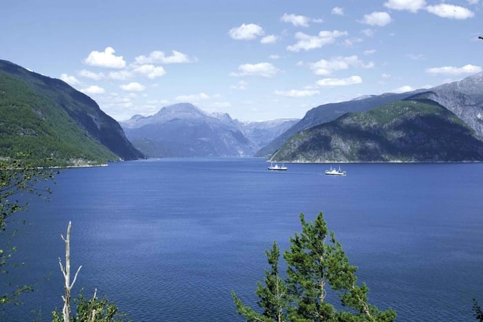 Vanuit Bergen: privétocht naar Hardangerfjord