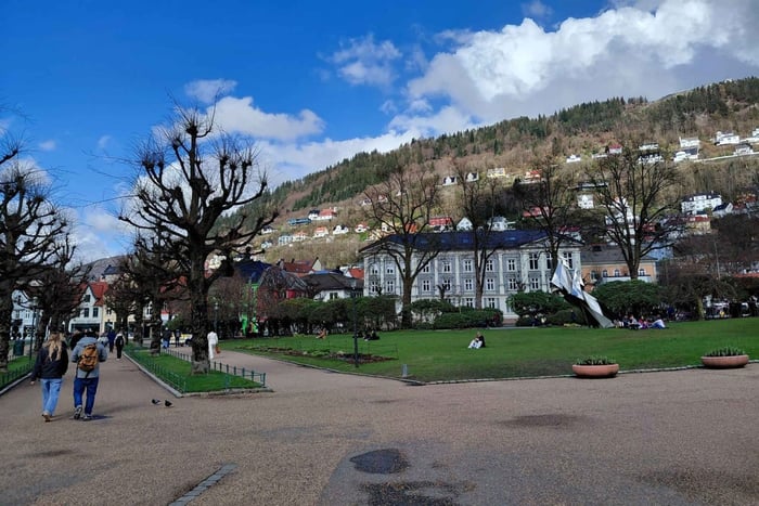 Privat tur til Bryggen, taubane og fjordhemmeligheter