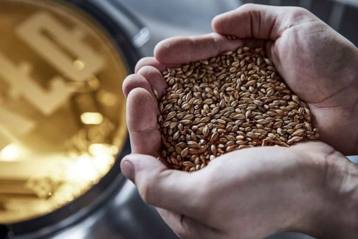 Berlin: BRLO BRWHOUSE Tour und Craft Beer Verkostung