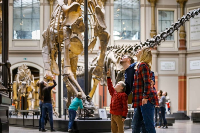 Berlijn: Toegangskaartje Natural History Museum