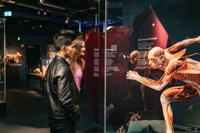 Berliini: Liput BODY WORLDS -museoon Berliinissä