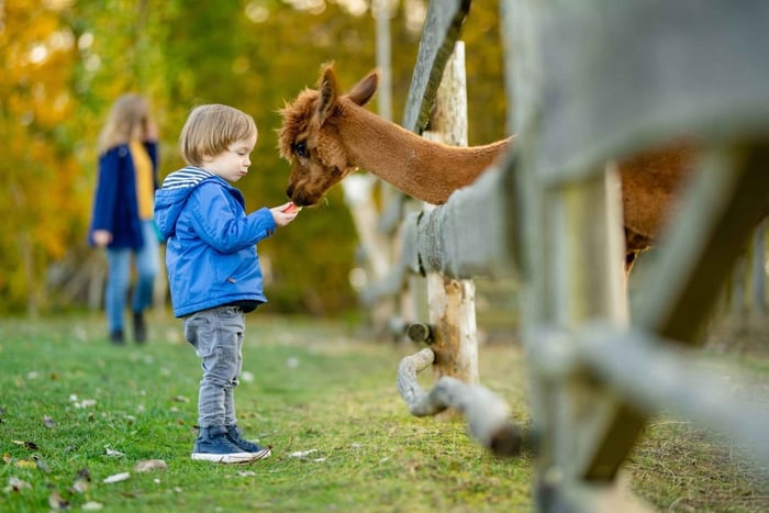 Private Transport to Berlin Zoo with Skip-the-line Ticket