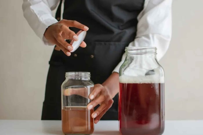 studio32 Kombucha, kefir e muito mais: oficina de bebidas fermentadas