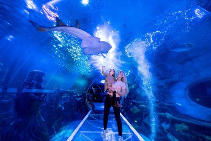 Birmingham: Inngangsbillett til National Sea Life Centre