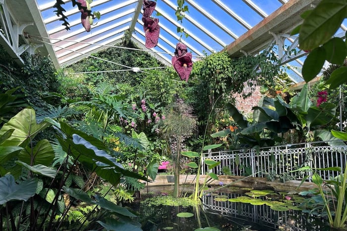 Botanical Gardens Entry Ticket