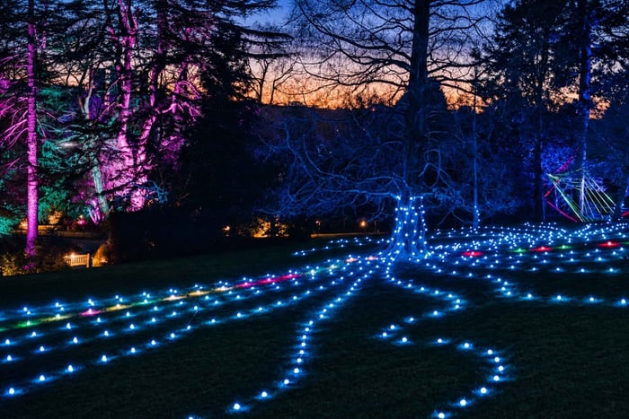 Botanical Gardens Light Trail Ticket