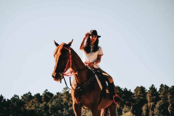 Horseback Ride Through Scenic Valley Trails