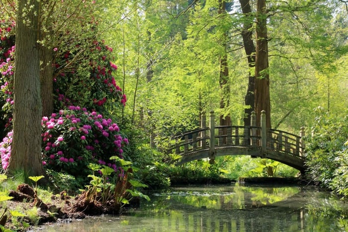 Birmingham Winterbourne House and Garden Ticket de entrada