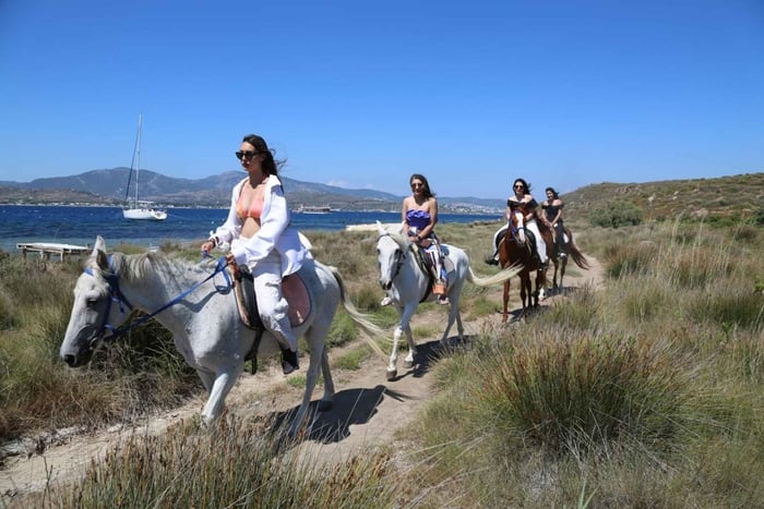 Horseback Riding Tour with Hotel Transfer