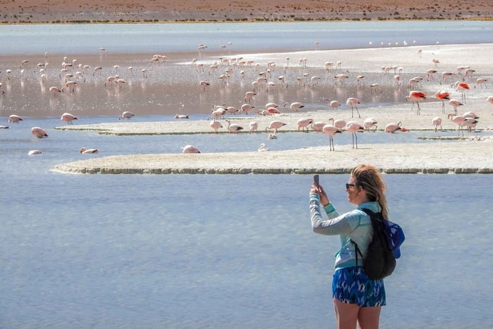 From Uyuni: Red Lagoon & Uyuni Salt Flats 3-Day Guided Tour