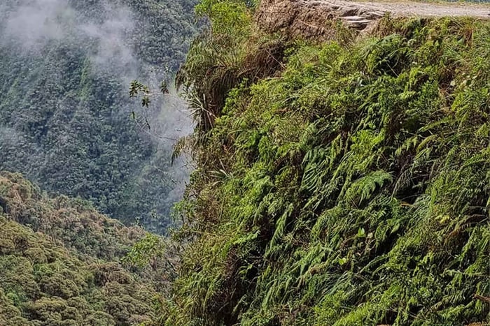 La Paz: Epic Death Road Bike Adventure