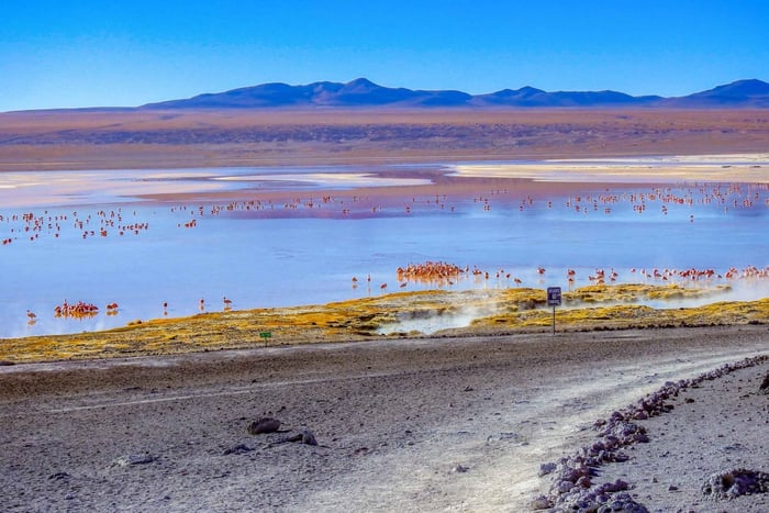 Uyuni Salt Flats & Colored Lagoons 3-Day Tour