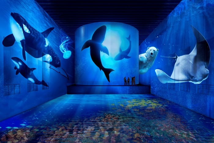 Bassins des Lumières Bilet Ocean