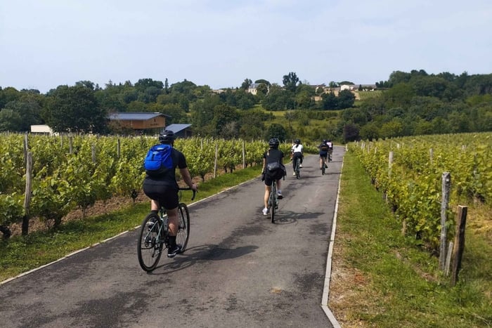 Bordeaux by Gravel Bike : Monumets, vineyards & wine tasting