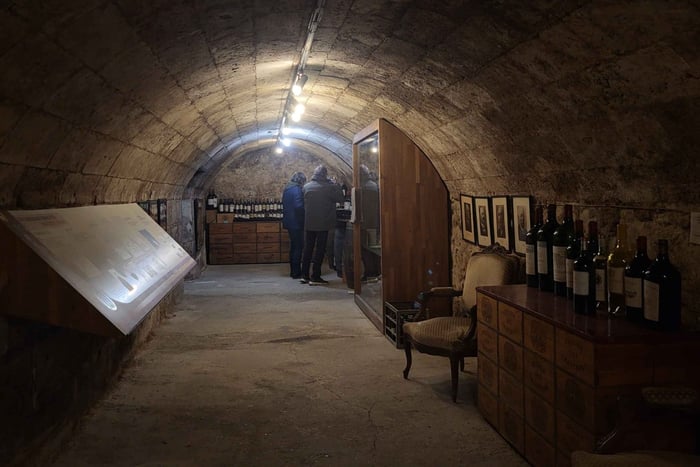 Bordeaux: ingresso al Museo del vino e del commercio