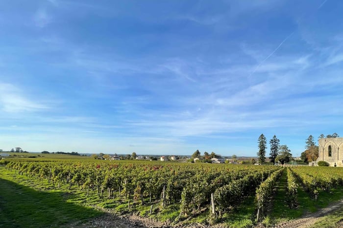 Från Bordeaux till Saint-Emilion på förmiddagen: frukost + besök + provsmakning
