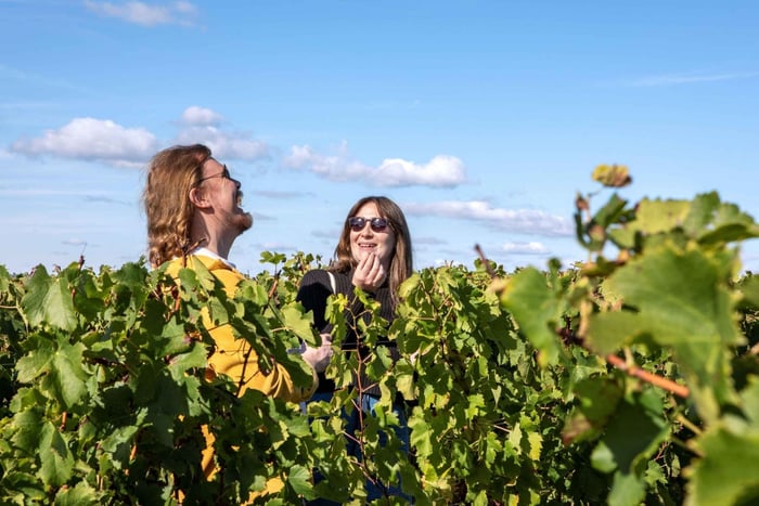 De Degustação de Vinhos em Pessac-Léognan e Excursão Matinal
