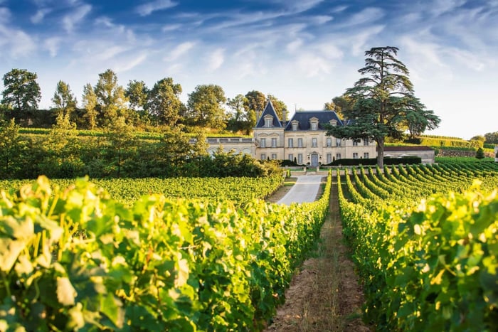 Z Bordeaux: prywatna wycieczka do Saint-Émilion