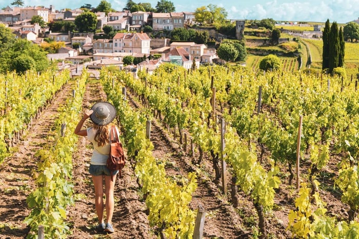 Desde Burdeos: Ruta del Vino de Saint-Emilion y Pomerol