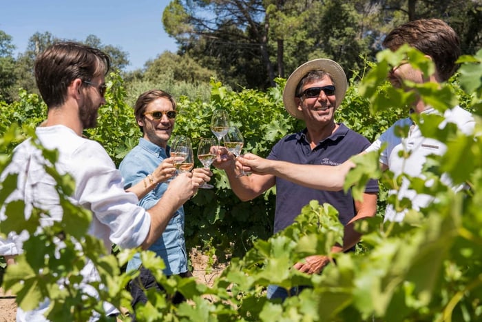 Au départ de Bordeaux : excursion à Saint-Emilion avec déjeuner et vin