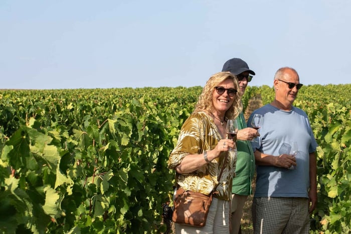 Full Day Saint Emilion: Top tier Chateaux & Lunch Included