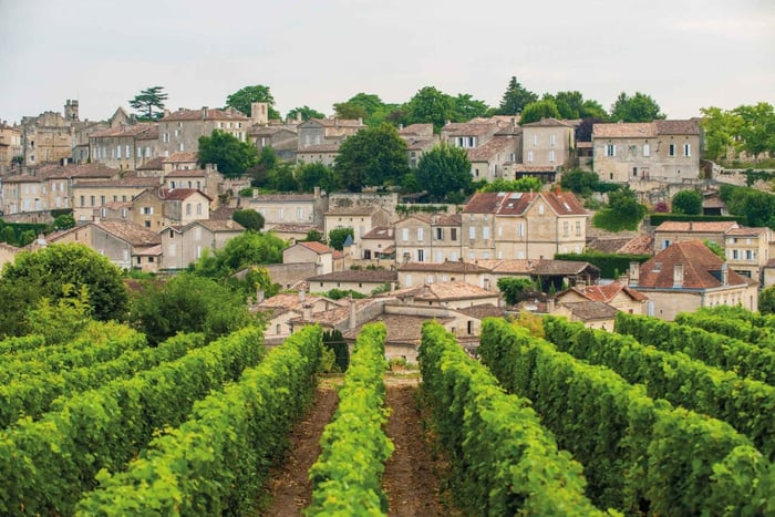 Full-day Saint-Emilion: Village, Undergrounds and Châteaux