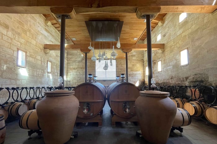 Saint-Emilion: wijntour van een halve dag naar geklasseerde landgoederen
