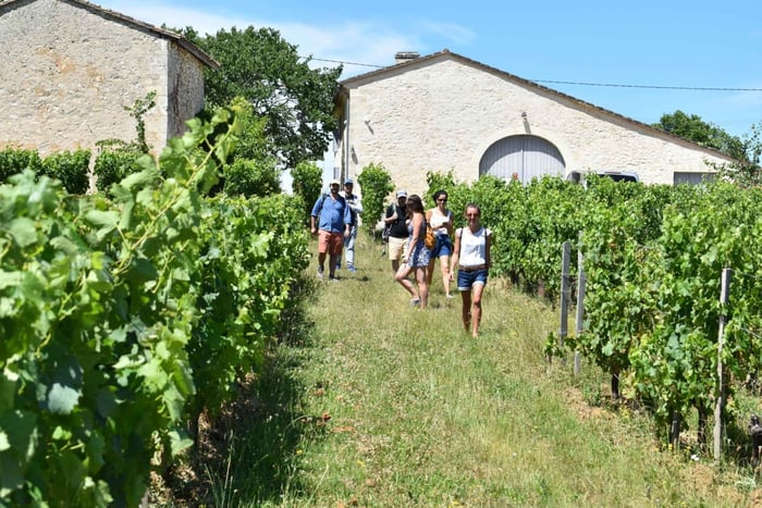 Au départ de Bordeaux : visite d'une demi-journée à Saint-Émilion et dégustation de vins