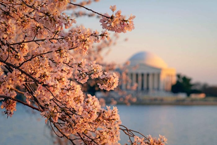 Vanuit Boston: 4-daagse tour naar New York, D.C. en Niagara Falls